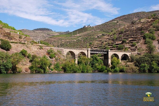 2-hour Rabelo Boat tour in Pinhão - A short cruise with a strong sense of place: Pinhão to Roncão