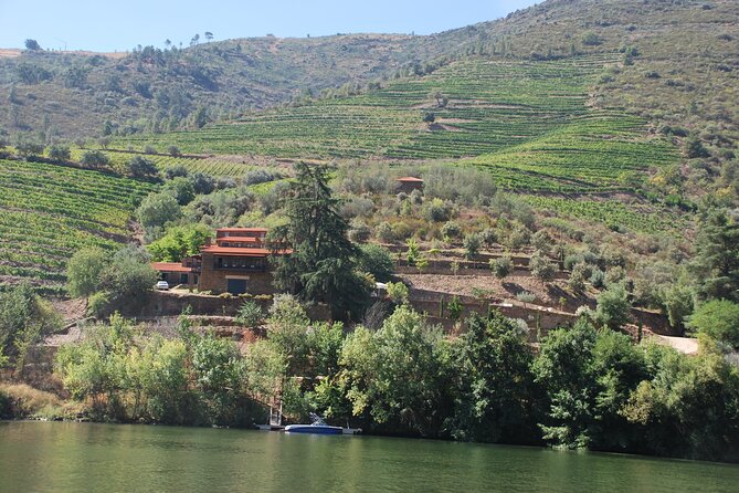2-hour Rabelo Boat tour in Pinhão - Should you book the 2-hour Rabelo boat tour in Pinhão?
