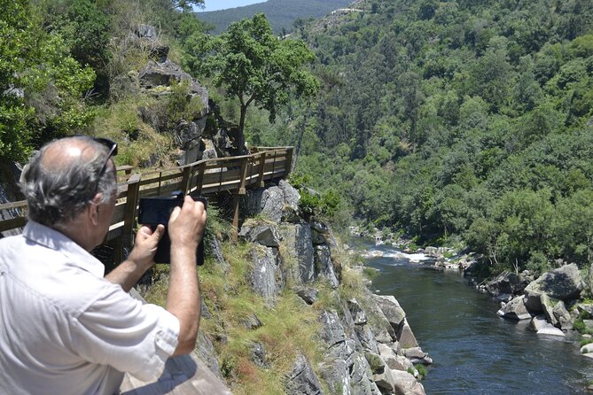 516 Arouca Bridge, Paiva Walkways and Aveiro Tour - Oven-Roasted Veal Lunch and Vinho Verde: The Reset Your Day Needs