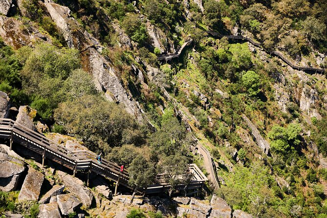 516 Arouca Bridge & Paiva Walkways Tour with Lunch from Porto - From Porto to Arouca: monastery sweets before the stairs