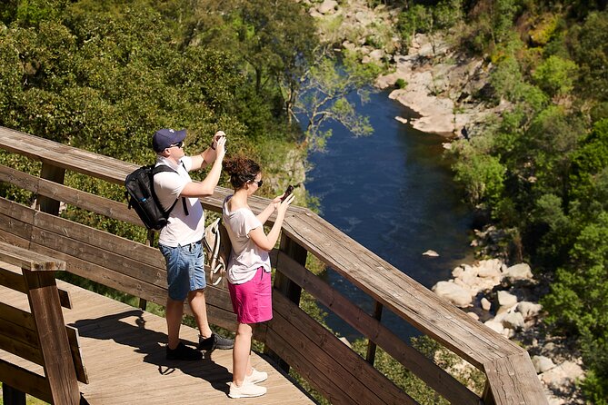 516 Arouca Bridge & Paiva Walkways Tour with Lunch from Porto - Alvarenga lunch with vinho verde: where the day slows down