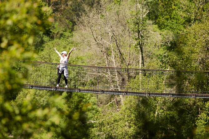 516 Arouca Bridge & Paiva Walkways Tour with Lunch from Porto - Price and value: what $139.07 really buys you