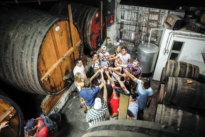 Authentic Small Group Douro Wine Tour with Lunch & River Cruise - The Douro Drive from Porto: N222 Views and Quick Photo Stops