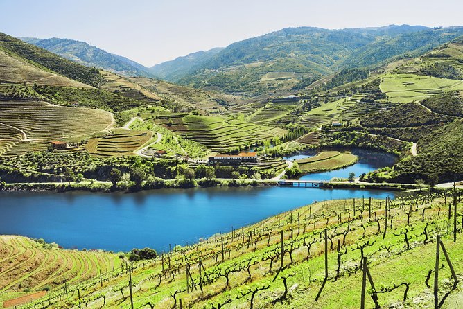 Authentic Small Group Douro Wine Tour with Lunch & River Cruise - Two Wineries, One Guided Story: Quinta do Tedo and Quinta do Beijo