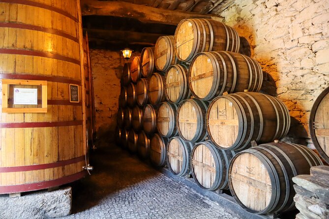 Authentic Small Group Douro Wine Tour with Lunch & River Cruise - When Weather Changes the Plan (and What You Can Do)