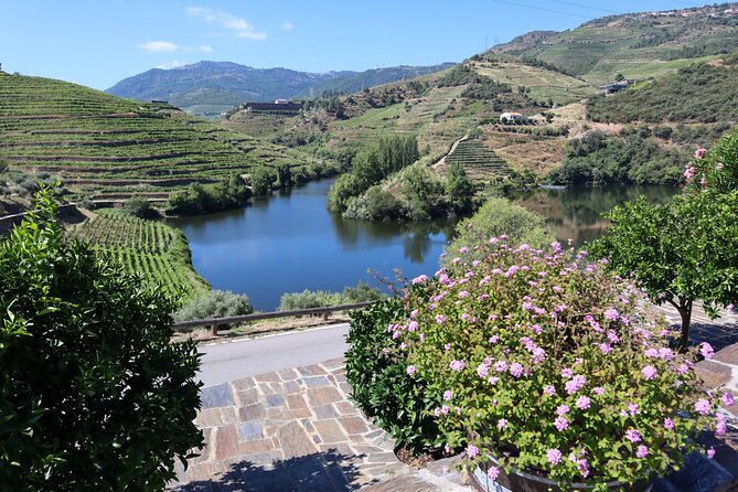 Authentic Small Group Douro Wine Tour with Lunch & River Cruise - Guides Matter: Luis, Pedro, Cheila, Brahim, Ivo, Ricardo, and José Pedro