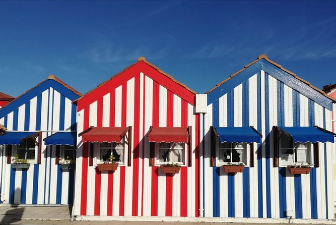 Aveiro and Coimbra Small Group Tour with Moliceiro Boat Cruise - Moliceiro Boat Cruise on the Ria de Aveiro: Your Best Angle on Little Venice