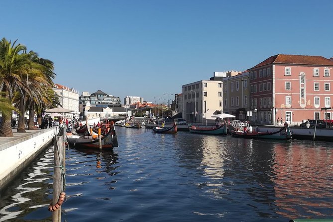 Aveiro and Coimbra Small Group Tour with Moliceiro Boat Cruise - Aveiro Railway Station and Free Time: How to Use the Lunch Window