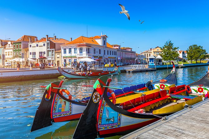 Aveiro and Costa Nova Half Day Tour from Porto with Boat Ride - Key things I’d watch for