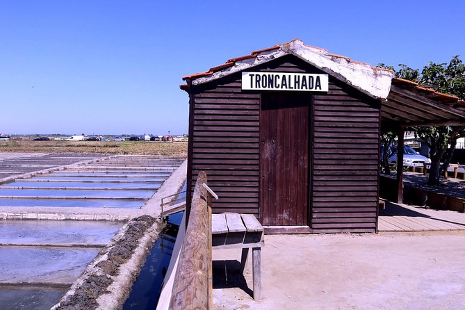 Aveiro and Costa Nova Half Day Tour from Porto with Boat Ride - Aveiro stop: canals, pastry breaks, and the clock-ticking walk