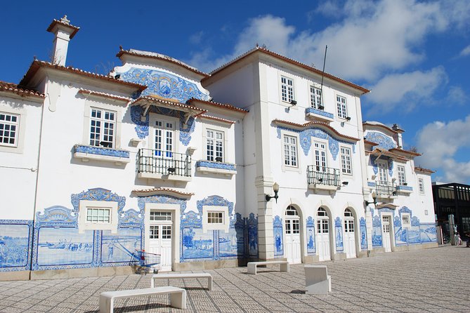 Aveiro and Costa Nova Half Day Tour from Porto with Boat Ride - Costa Nova: striped fishermen’s huts and fast beach-town photo time