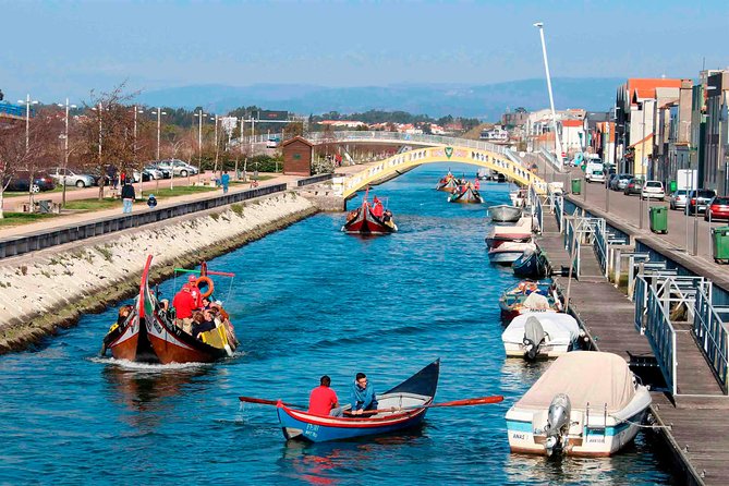 Aveiro Canal Cruise in Traditional Moliceiro Boat - Price and time: what about $15.66 buys you