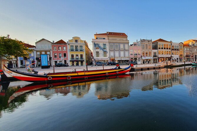 Aveiro Canal Cruise in Traditional Moliceiro Boat - Who this cruise fits best (and who might prefer something else)