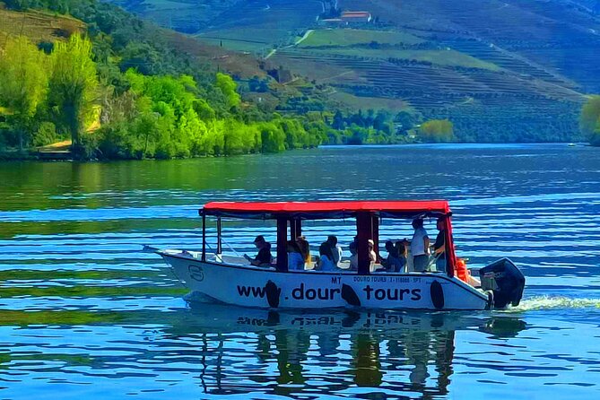Boat tour 50min through the river Douro in Pinhão - Entering The Pinhão Pier: Meet-Up That Actually Makes Sense