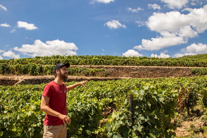 Complete Douro Valley Wine Tour with Lunch, Wine Tastings and River Cruise - Key points to know before you go