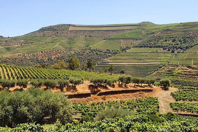 Complete Douro Valley Wine Tour with Lunch, Wine Tastings and River Cruise - Stop 1: arriving in the Douro Valley and getting the big picture
