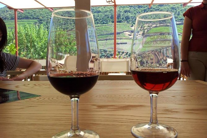 Complete Douro Valley Wine Tour with Lunch, Wine Tastings and River Cruise - Stop 2 in Sabrosa: winery tour, tastings, and a full Portuguese lunch