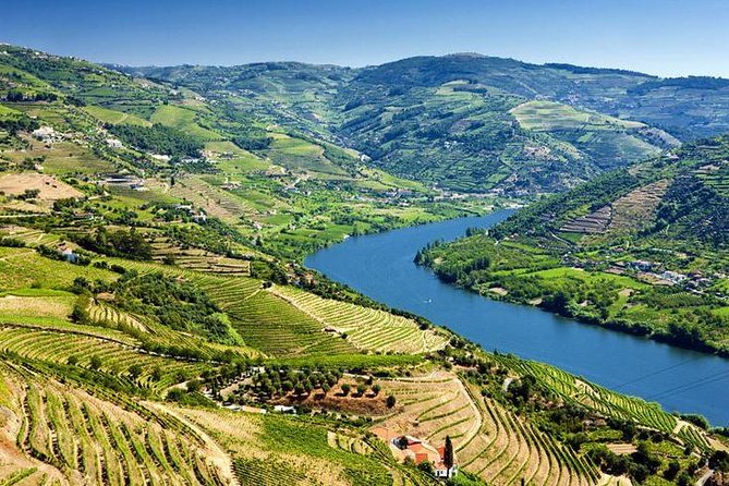 Complete Douro Valley Wine Tour with Lunch, Wine Tastings and River Cruise - Pinhão and the Rebelo river cruise: the calm, scenic payoff