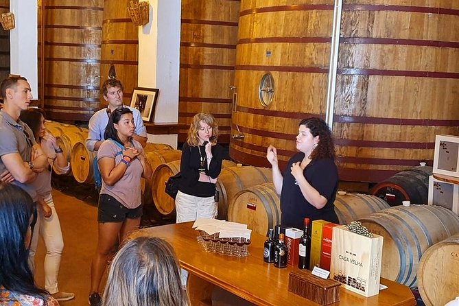 Complete Douro Valley Wine Tour with Lunch, Wine Tastings and River Cruise - Stop 5 in Folgosa: the last tasting session before you head back