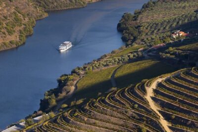 Day Cruise from Porto to Pinhão with Breakfast and Lunch - The Douro Valley stretch: vineyards, quintas, and those big dam passes
