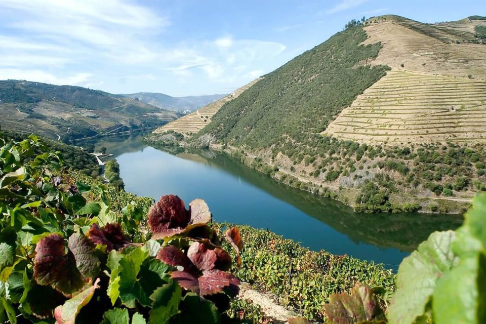 Day Cruise from Porto to Pinhão with Breakfast and Lunch - Should you book the Porto to Pinhão Douro day cruise?