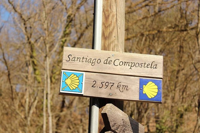 Day Trip from Porto to Santiago de Compostela and Valença - Timing and transportation: comfortable minibus, but sit smart