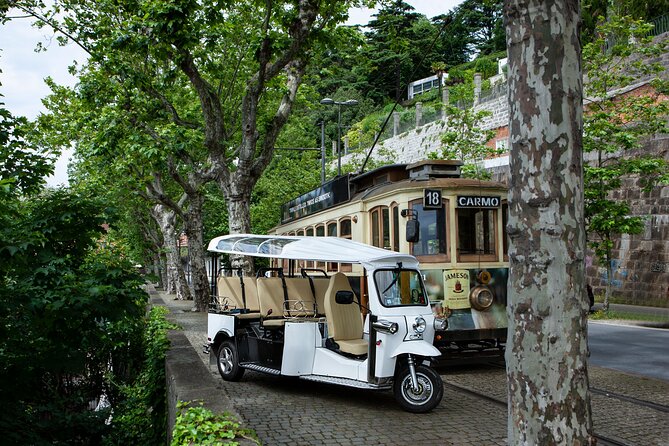Discover Porto's Highlights on a 2-Hour Private Electric Tuk Tuk - What this electric tuk-tuk tour gets right in Porto