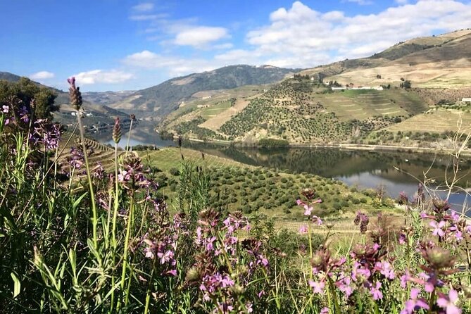 Douro Valley and Régua Panoramic Cruise with Lunch from Porto - Carrapatelo Dam lock: the 35m drop that people remember
