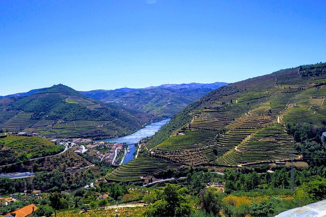 Douro Valley and Régua Panoramic Cruise with Lunch from Porto - The boat itself: comfort, views, and the sound test