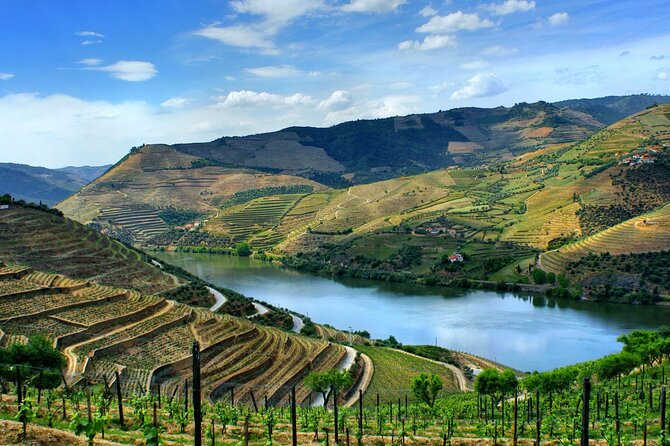 Douro Valley and Régua Panoramic Cruise with Lunch from Porto - The scenery time that actually feels productive