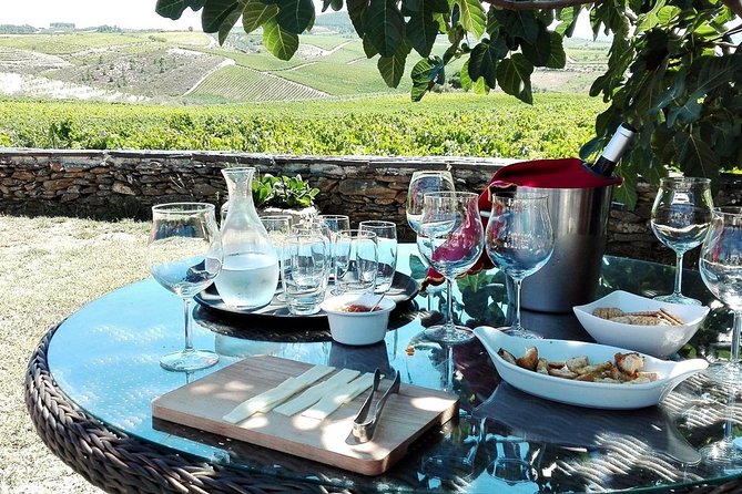 Douro Valley Best-Of Private Tour – Fully Customizable Experience - Key things you’ll notice right away