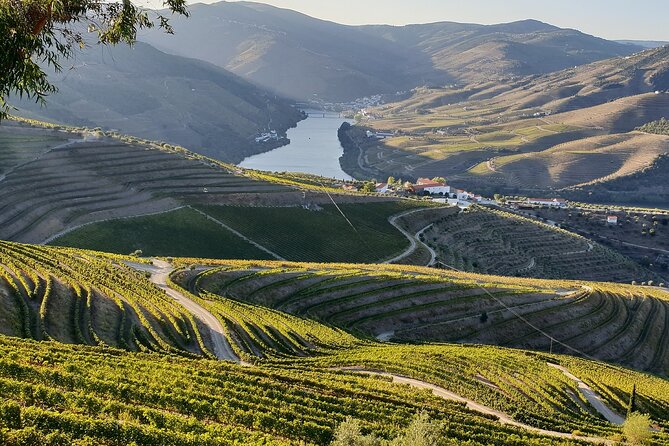 Douro Valley Best-Of Private Tour – Fully Customizable Experience - Provesende Wine Lunch: DOC Douro Pairings in a Real Village