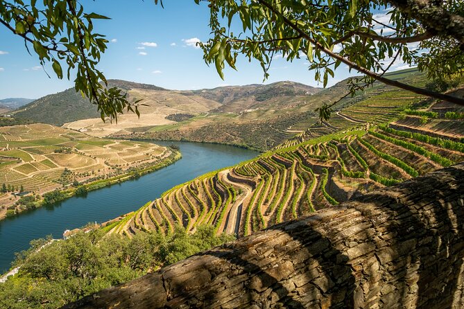 Douro Valley Best-Of Private Tour – Fully Customizable Experience - Price-and-day Balance: How to Choose Your Exact Version