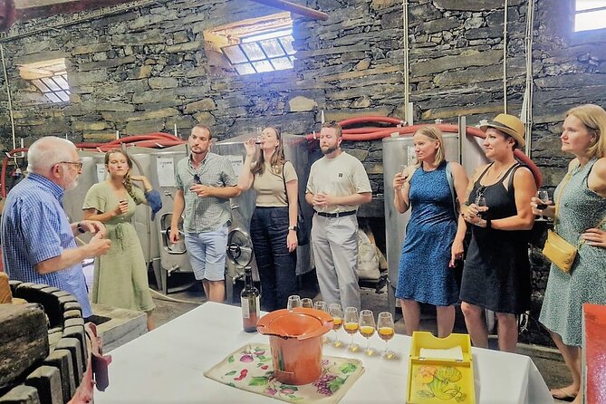 Douro Valley-Expert Guide-Boat-Lunch-Tastings-Offer wine bottle - Morning pickup and the drive through vineyards, a tunnel, and Vila Real