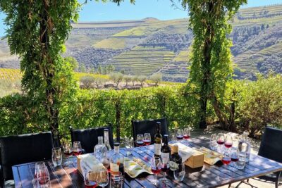 Douro Valley-Expert Guide-Boat-Lunch-Tastings-Offer wine bottle - Torguiano viewpoint: a quick stop that sets the day’s mood