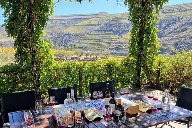 Douro Valley-Expert Guide-Boat-Lunch-Tastings-Offer wine bottle - Torguiano viewpoint: a quick stop that sets the day’s mood