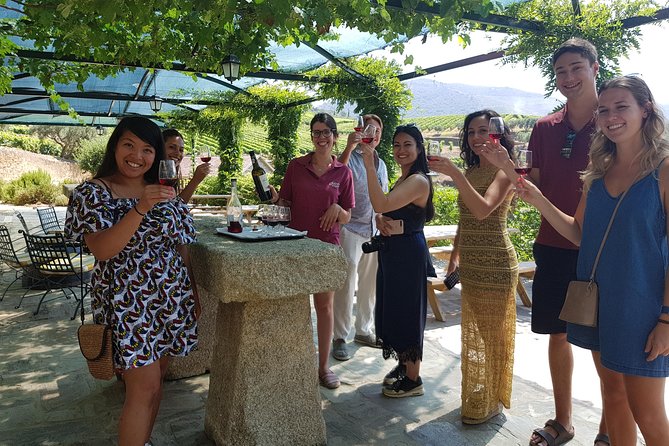 Douro Valley for Wine Lovers with Visit to 4 Wineries and Lunch - Key Highlights That Make This Douro Day Worth It