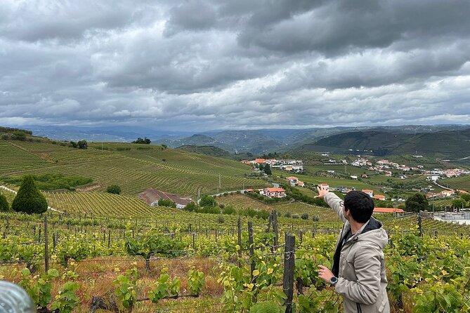 Douro Valley for Wine Lovers with Visit to 4 Wineries and Lunch - Port vs. Table Wine: Tasting Like You Mean It