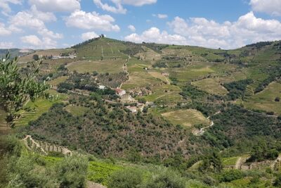 Douro Valley for Wine Lovers with Visit to 4 Wineries and Lunch - The 10-Hour Reality: Pacing, Breaks, and What to Expect