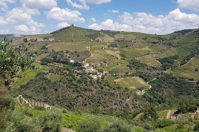 Douro Valley for Wine Lovers with Visit to 4 Wineries and Lunch - The 10-Hour Reality: Pacing, Breaks, and What to Expect