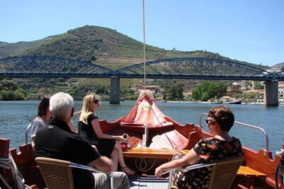 Douro Valley: Historical Sites, Wine Experience, Lunch & Cruise - São Leonardo de Galafura viewpoint: see why the Douro is so steep