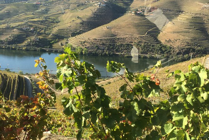 Douro Valley in off road - Private Tour - Key highlights you should care about
