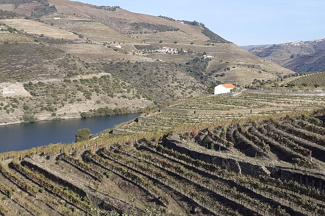 Douro Valley Premium with wine tasting lunch and boat - A guided Douro day that feels built for tasting, not just sightseeing