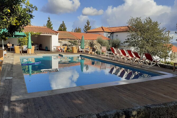 Douro Valley Premium with wine tasting lunch and boat - Sabrosa wine-tasting lunch: dessert plus port wine ice cream