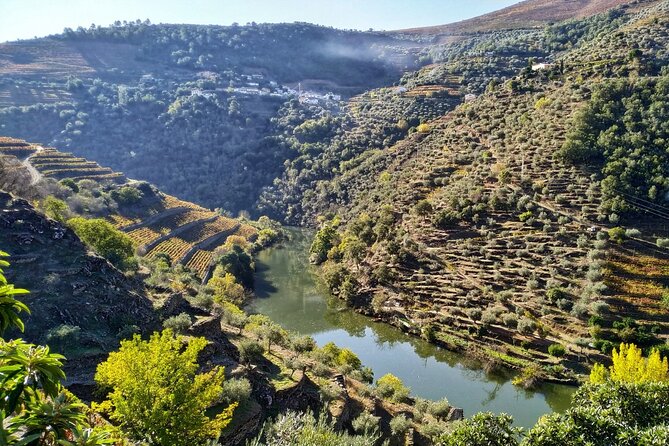 Douro Valley Prime Tour: Wine Tastings, Boat & Lunch from Porto - From Porto’s 8:15 Start to a Real Small-Group Day