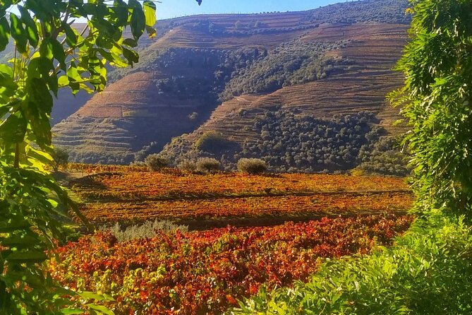 Douro Valley Prime Tour: Wine Tastings, Boat & Lunch from Porto - Before the Douro Proper: Vinho Verde and Amarante