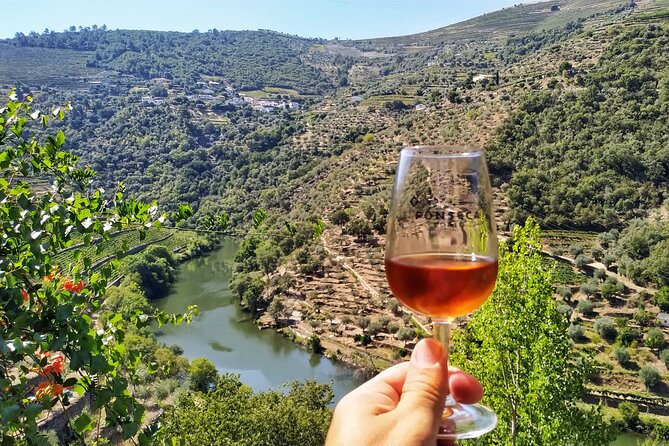 Douro Valley Prime Tour: Wine Tastings, Boat & Lunch from Porto - Quinta do Panascal (and Port Tanks): The Production Side