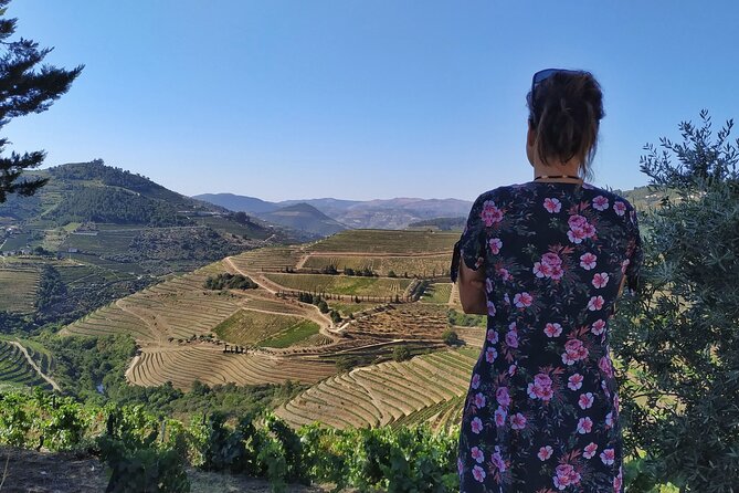 Douro Valley Prime Tour: Wine Tastings, Boat & Lunch from Porto - The River Cruise: Why That 1-Hour Window Works