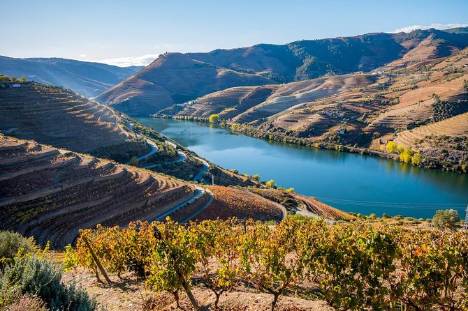 Douro Valley: private tour with lunch and wine estate all inclusive - Hitting the Douro at 9:00 a.m. from Porto with a real driver