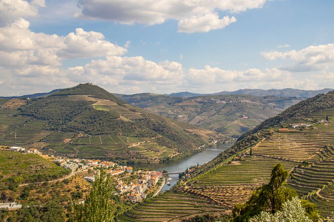 Douro Valley: private tour with lunch and wine estate all inclusive - Along the N222: a scenic drive that adds story, not just miles